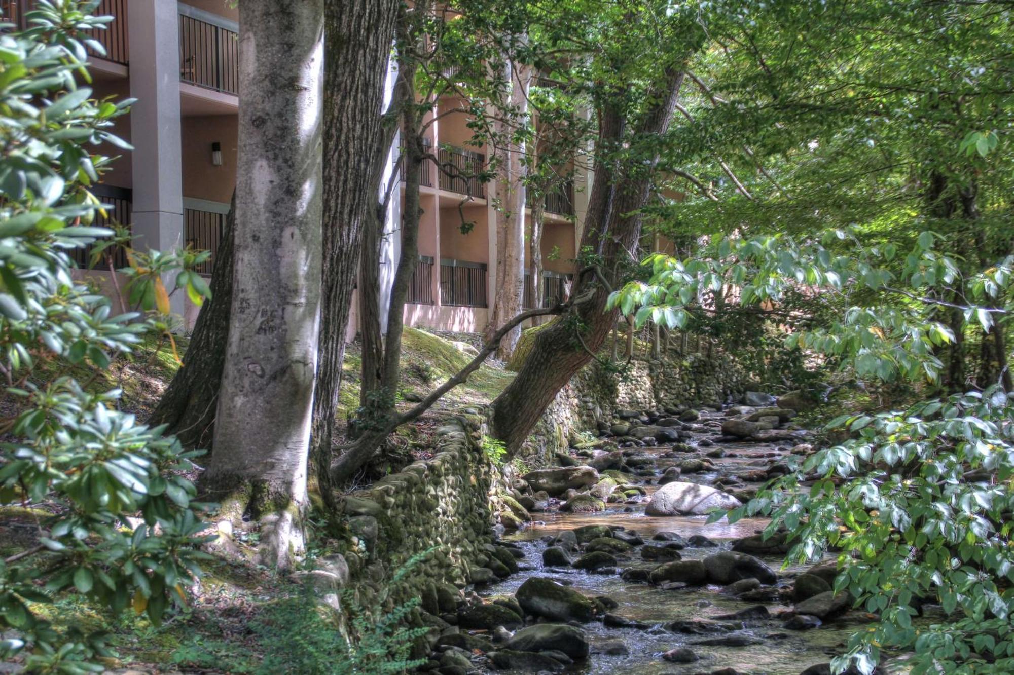 Hampton Inn Gatlinburg Εξωτερικό φωτογραφία